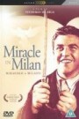 Miracle In Milan